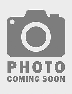 Mercer Island Dental Associates | Digital Impressions, Oral Cancer Screening and All-on-4 reg